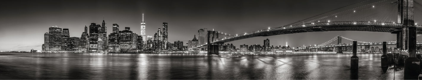 New York City Skyline in gray