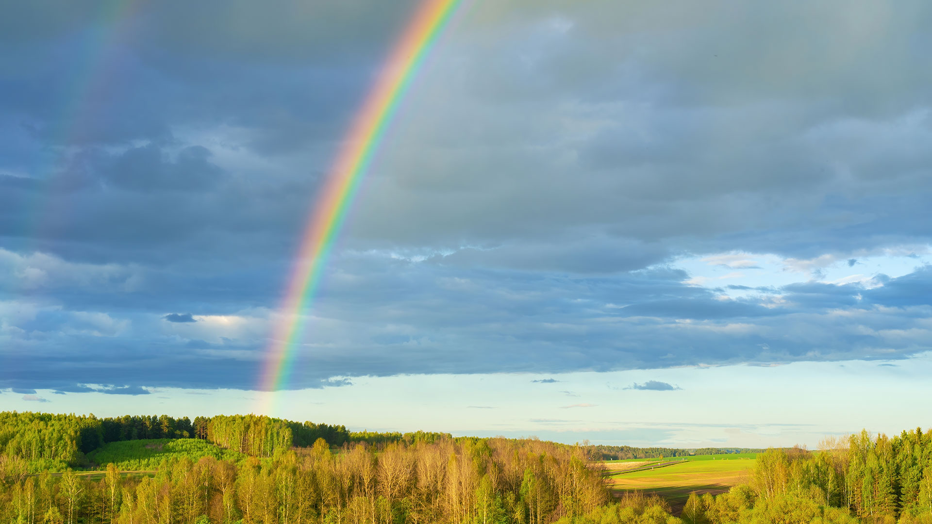 A large rainbow over a field