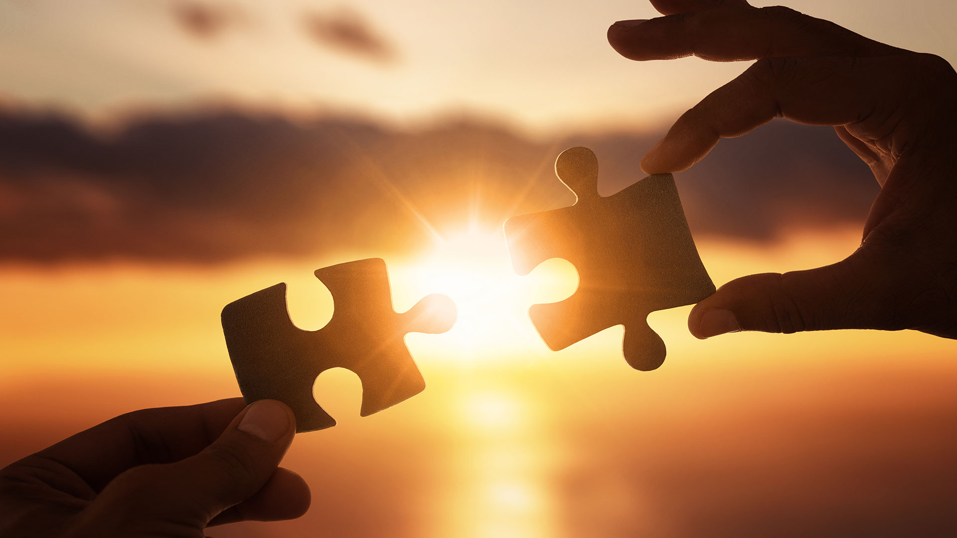 Reclaiming Wholeness